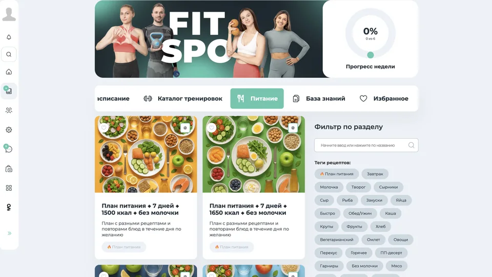 FIT SPO, интерфейс проекта