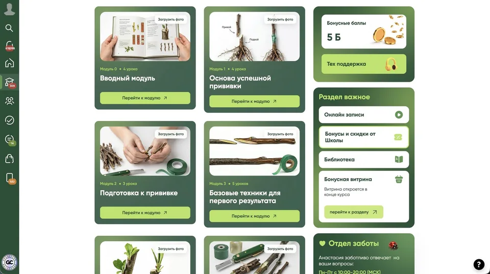Мини-курсы, интерфейс проекта